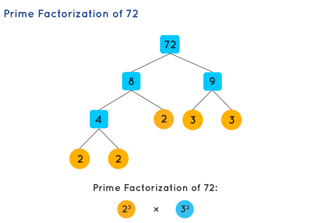 prime factor-factor tree